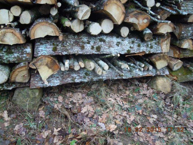 Pierres sous tas de bois